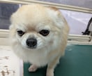 店舗なしで月収UP！店舗なしでの独立相談に乗ります 週休3日で稼ぐ仕組み！移動サロンの集客と運営術を伝授します イメージ4