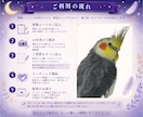 鳥さんの気持ちを丁寧にお伝えします 言葉にならない想いを静かに届けます。 イメージ4