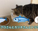 簡単なロングやショートの動画編集します カットだけ、字幕だけOKSEやBGM挿入もできます イメージ5