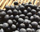 自然栽培・有機栽培による野菜の作り方を教えます 無農薬・無肥料又は有機肥料・固定種による野菜栽培を伝授 イメージ8