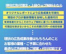 現役プロがSNS(Meta)広告を運用します ≪実績200社以上≫上級ウェブ解析士-現役広告代理店の責任者 イメージ3