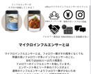 インフルエンサーが1万人分タグ付け宣伝します 確実にリーチする！インフルエンサーマーケティング戦略 イメージ2