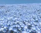 なんでも話聞きます 愚痴でも相談でもなんでも話聞きます♩ イメージ1