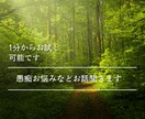 何か話したい、寂しい、どんなお話も聞きます あなたの心に寄り添い、気持ちを楽にするお手伝いいたします☺️ イメージ1