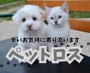 亡くしたあの子への辛く苦しいお気持ちに寄り添います 虹の橋を渡ったあの子の思いを伝えます明日は笑顔になれるように イメージ1