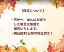 TikTok再生回数増やします TikTokで再生回数UP♪人気クリエイターの道へ★ イメージ7