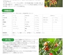 魅力を伝えるパンフレットデザイン承ります 会社学校イベントに最適！わかりやすく魅力を引き出すのデザイン イメージ5