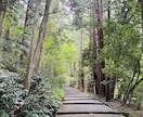 グランタブロー✧36枚全展開で現在地と流れを視ます 仕事・恋愛・人間関係✧現状を整理し、次の一歩を選べる状態へ イメージ8