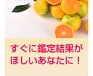 今すぐ鑑定します！すぐにチャットで恋愛鑑定致します ２１時以降四柱推命とタロットで鑑定相談します。すぐほしい方に イメージ4