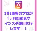 1ヶ月instagramインスタの運用代行します ハッシュタグ選定、いいね、投稿の作業を代行します イメージ1