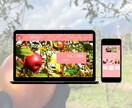 コーディングの代行をいたします HTML&CSSを用いたコーディングをご提供 イメージ3