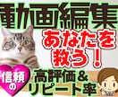 伝わる！分かりやすい！前向きな動画に仕上げます 丁寧な編集＆コミュニケーションをお約束します。 イメージ1