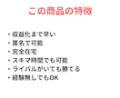 非道徳なアフィリエイト副業を教えます 毎月報酬ゼロが続いてるアフィリエイトに終止符を打ちたい人へ イメージ2