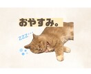 一生使える ペットのLINEスタンプを作成します 愛しのペット達のオリジナルLINEスタンプを作成します。 イメージ4