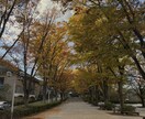 大学生の日常を切り取った写真を提供します 作り込みすぎない、Z世代の日常素材 イメージ2