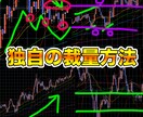 バイナリーやFXあなたの資金管理をサポートします 【鬼コンサルティング】プロがトレーダを徹底的に育成します！ イメージ6