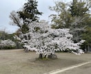 海外生活での愚痴！吐き放題リトリートをご用意します 海外生活の愚痴ってかなり「じわじわ系」日常の小さな積み重ね イメージ6