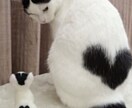 恋愛全般♡不倫や複雑な恋の話を聞きます ちょっとしたお話から、深いお話しまで気軽に来て下さいね♡ イメージ6