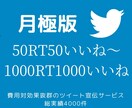 1ヶ月毎日50RT〜1000RTでツイート拡散ます 30回分。SNSを集客、宣伝、拡散！Twitter イメージ1