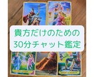 チャットで30分、貴方のためだけに占います 【10名様限定】恋愛、仕事などじっくりお話を聞いてほしい方へ イメージ1