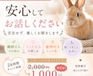 動物好き・繊細さんのお気持ち、丁寧にお聞きします ひとりで抱えなくて大丈夫です。繊細さんに寄り添います。 イメージ1