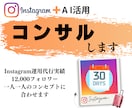 1ヶ月間インスタコンサルします 初心者向けのフォロワー0からスタートでもOK！ イメージ1