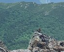 安全第一‼️医療視点で登山計画書を作成します 山岳診療の経験を活かして“なんとなく登山”から“安心登山”へ イメージ3