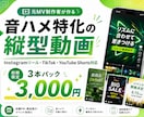 元MV制作者が音ハメ特化の縦型動画を制作します 埋もれる動画をテンポよく！音で魅せる縦型動画に イメージ1