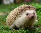 ポジティブに返信します ポジティブな言葉が聞きたい時ってありますよね イメージ1