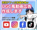 現役アフィ広告製作がUGC風広告動画作ります meta,tikなどの動画広告ならお任せください イメージ1