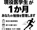 現役医学生が1か月学習管理をします 毎日の進捗確認＋週1振り返りで、勉強を続ける習慣を作ります イメージ1