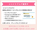初心者歓迎♪プロがピンタレストの集客コンサルします SNSやブログへ集客します。ピンタレスト運用でお困りの方へ イメージ9