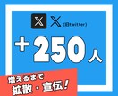 Xの海外フォロワーを拡散で250人以上増やします X｜Twitter｜フォロワー｜海外｜拡散｜宣伝｜保証有 イメージ1