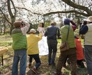 芸能で活動したい人への相談を受けます 地方で芸能を目指している人は、必見です！ イメージ2