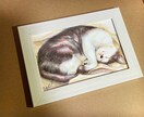 動物イラスト描きます 油絵や色鉛筆などを使って手元に残せる作品をお届けします イメージ3