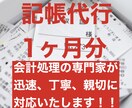 毎月の記帳代行&アドバイス承ります しっかりとした会計処理は経営には必須。継続的なご依頼もOK！ イメージ1