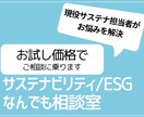 サステナビリティESG対応なんでもご相談に乗ります お試し価格で、現役サステナ担当者がお悩みを解決します！ イメージ1