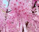 本気の人だけ！子どもの将来をより良い方向に導きます 学校生活・結婚・金運・人間関係などお子様に関する占い鑑定 イメージ3