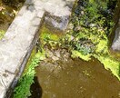恋愛占います トランプでの占い…気になりません？ イメージ4
