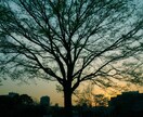 あなた様に合った幸運・金運を呼ぶ吉方位を占います 吉方位を意識して全体の✨運気✨を上げてみましょう！ イメージ2