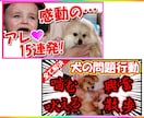 YouTube note等のサムネイルを作成します 1件で2000円!思わずクリックしたくなるようなサムネ作成！ イメージ2