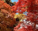 写真を販売します 写真の素材を探していませんか？？ イメージ3