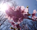 深夜時間・お昼の癒しを求めている方へ提供しています 貴方様のお気持ちを此処で休憩していってください♪ イメージ2