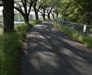あなたのお悩みをしっかり聞きます あなたのお悩みをしっかりと聞かせていただきます！ イメージ2