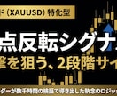 GOLD１分足スキャ専用のサインツールになります 荒れ狂うゴールド相場の「極点」を撃ち抜く反転サインツール イメージ1