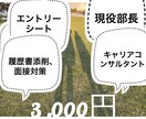 エントリーシート、履歴書、職務経歴書の添削します 面接対策、模擬面談・キャリア相談も可、 英語もご相談下さい。 イメージ1