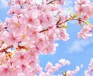 資格有！現役管理職＆面接官が応募書類を添削します 現役上級管理職＆面接官で資格保持者としてサポート！ イメージ1