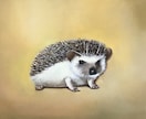 油絵でペットの似顔絵を描きます 記念日のプレゼントや思い出づくりに最適です。 イメージ2