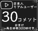 指定動画にコメント30個再生回数300回増やします YouTube/日本/複数小分け可/高品質/コスパ良し/格安 イメージ1