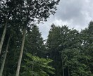 あなた専用スッキリ部屋へようこそ！お話し聞きます モヤモヤ、納得行かない事悩みなど溜めないでスッキリしましょう イメージ4